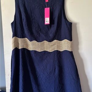 Lilly Pulitzer Blue Tan A-Line Mini Dress